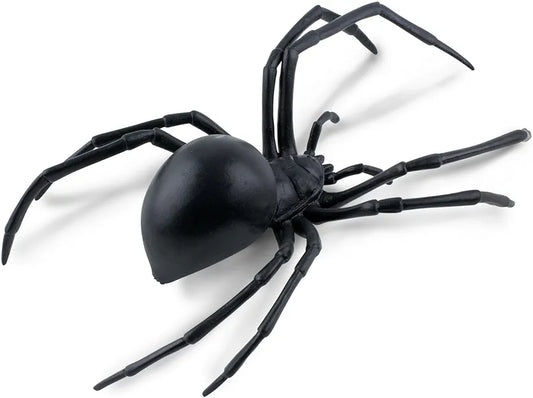 Safari Widow Spider(12 pcs)
