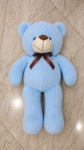 Soft Teddy