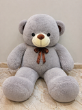 Teddy