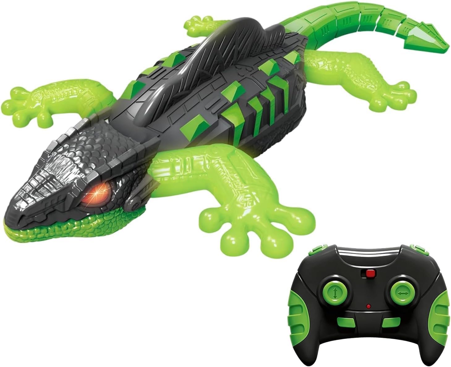 LIZARD