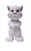 Cat Toy