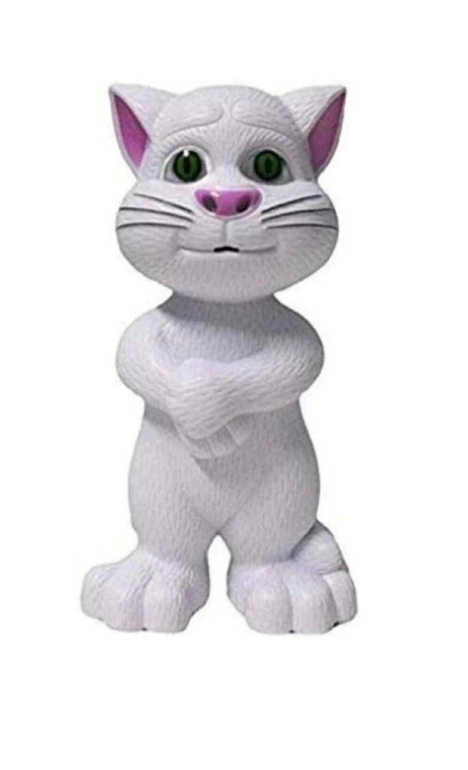 Cat Toy