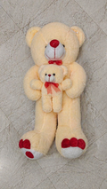 2in1 Teddy