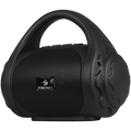 Zebronics County 10 Portable Bluetooth Speaker (PSPK 67 Black)
