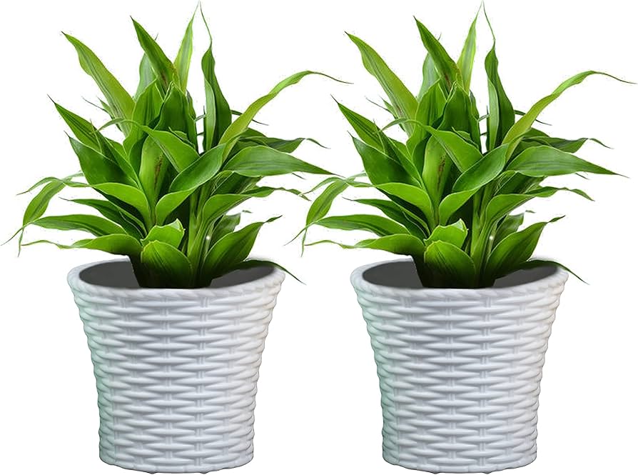 Flower Pot Medium Size