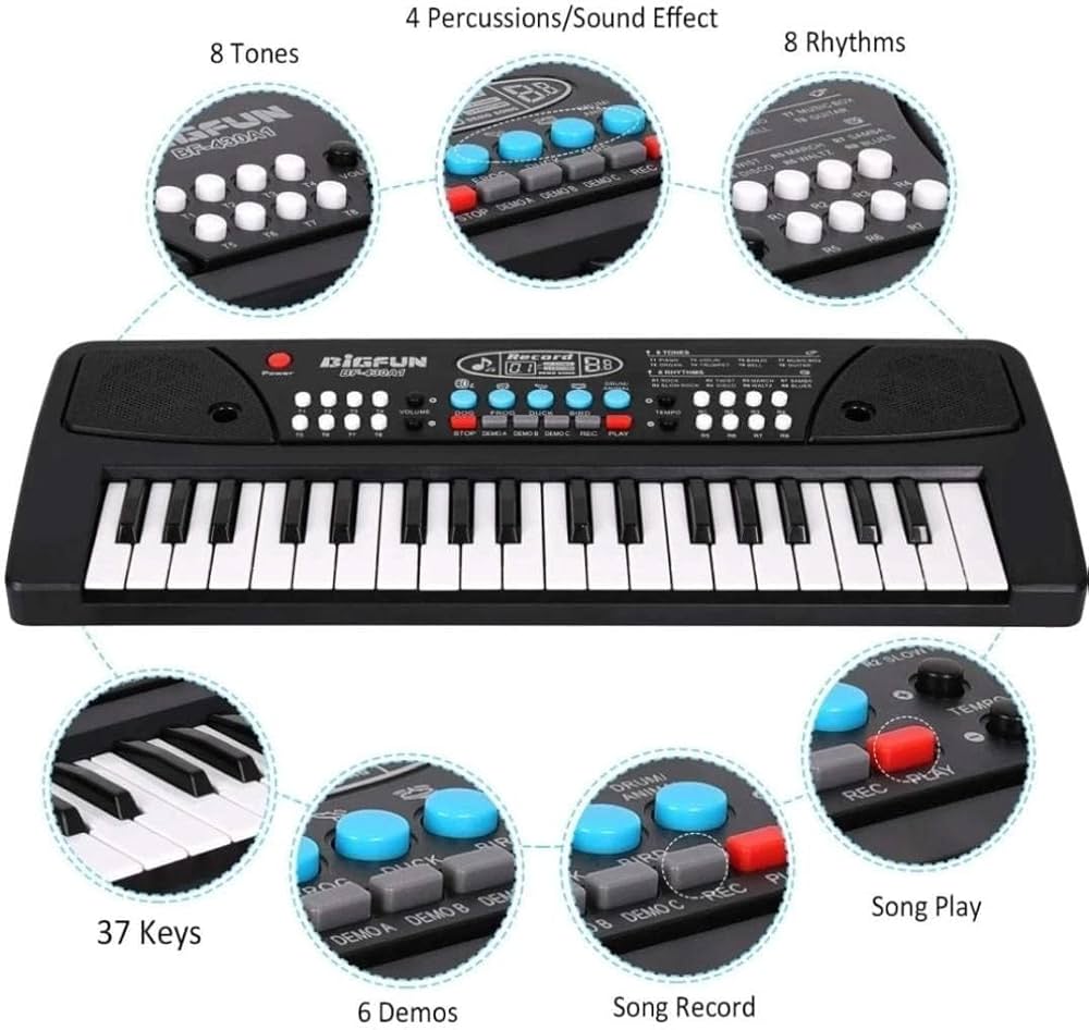 Piano Keyboard With Mic