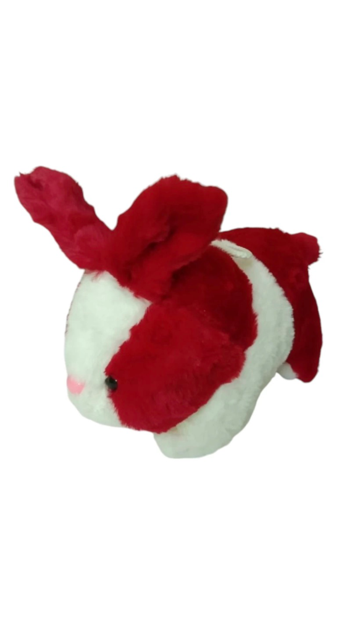 Adorable rabbit plus toy