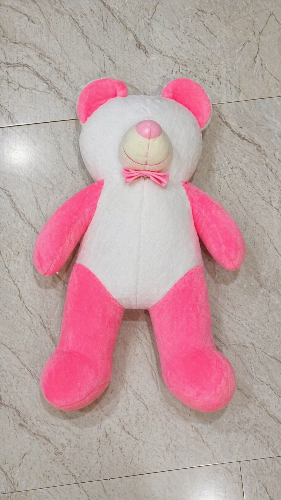 Teddy