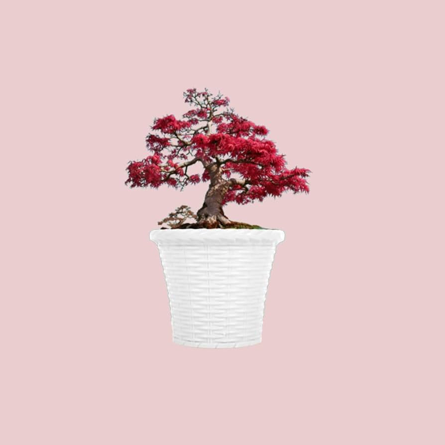 Flower Pot Large Size