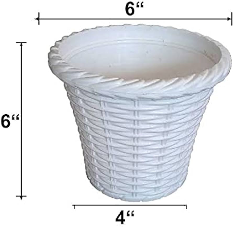 6Inch Size Planter