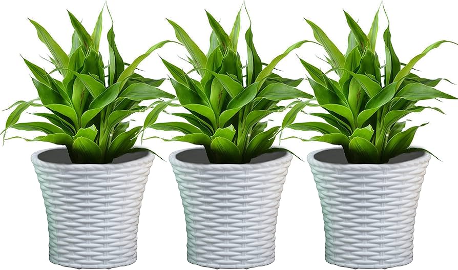 Flower Pot Medium Size