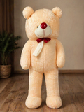 Soft Teddy