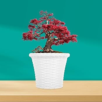 Flower Pot Large Size