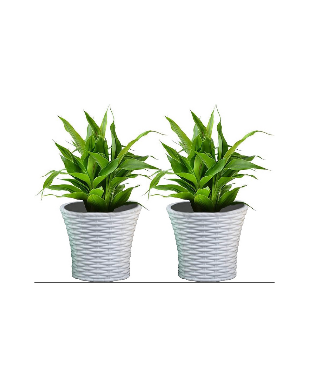 Flower Pot Medium Size