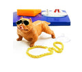 Dog Dashboard