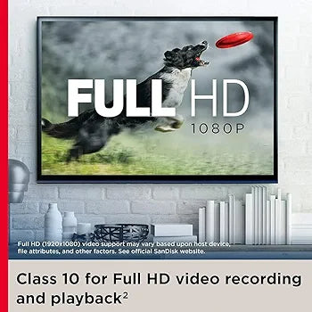 SanDisk 128GB