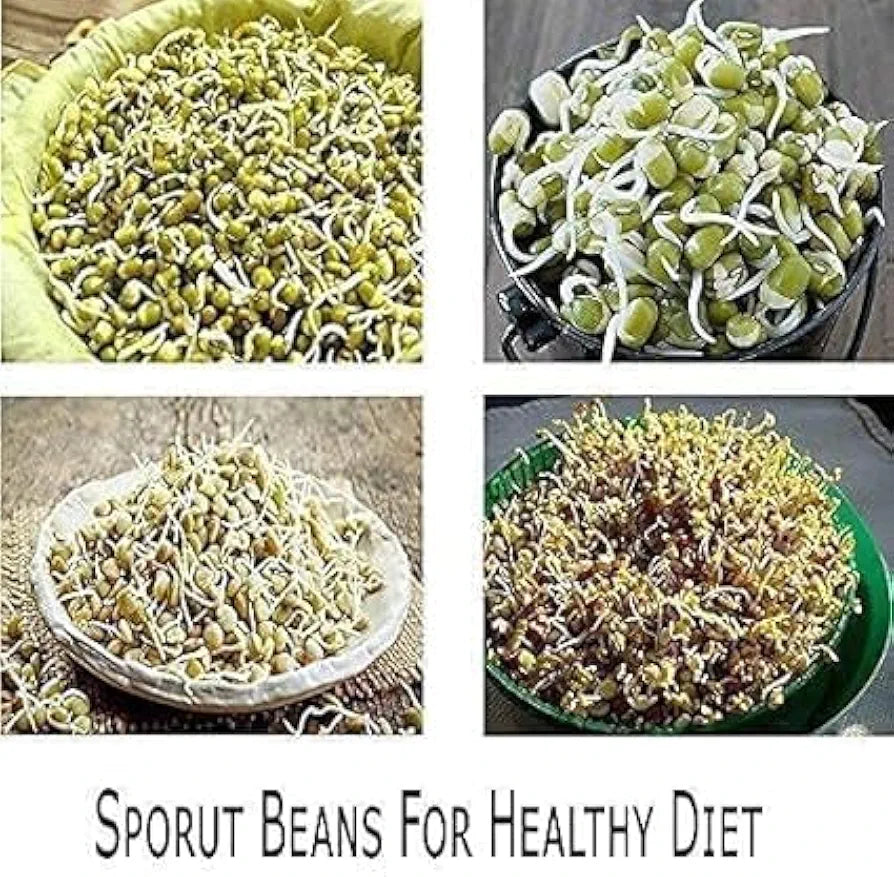 Sprouts Maker