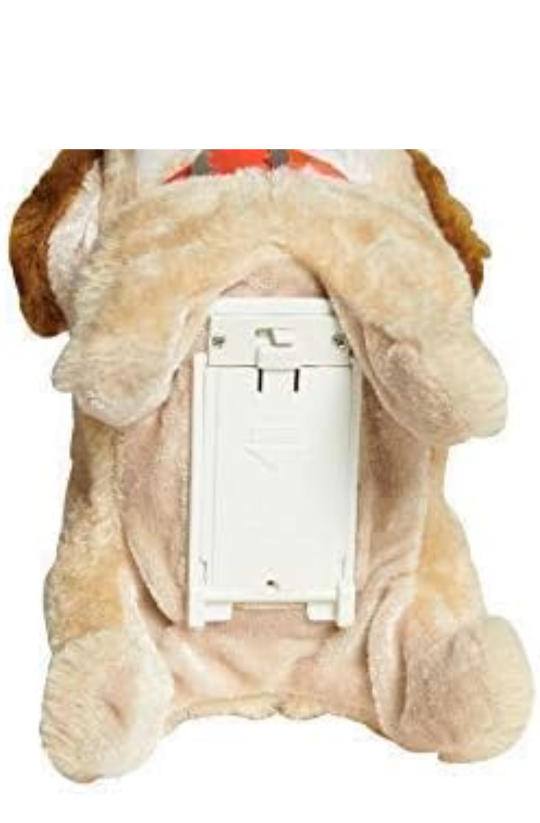 Funny Dog
