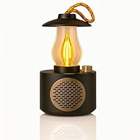 Lamp speaker (mini 50 pic.)