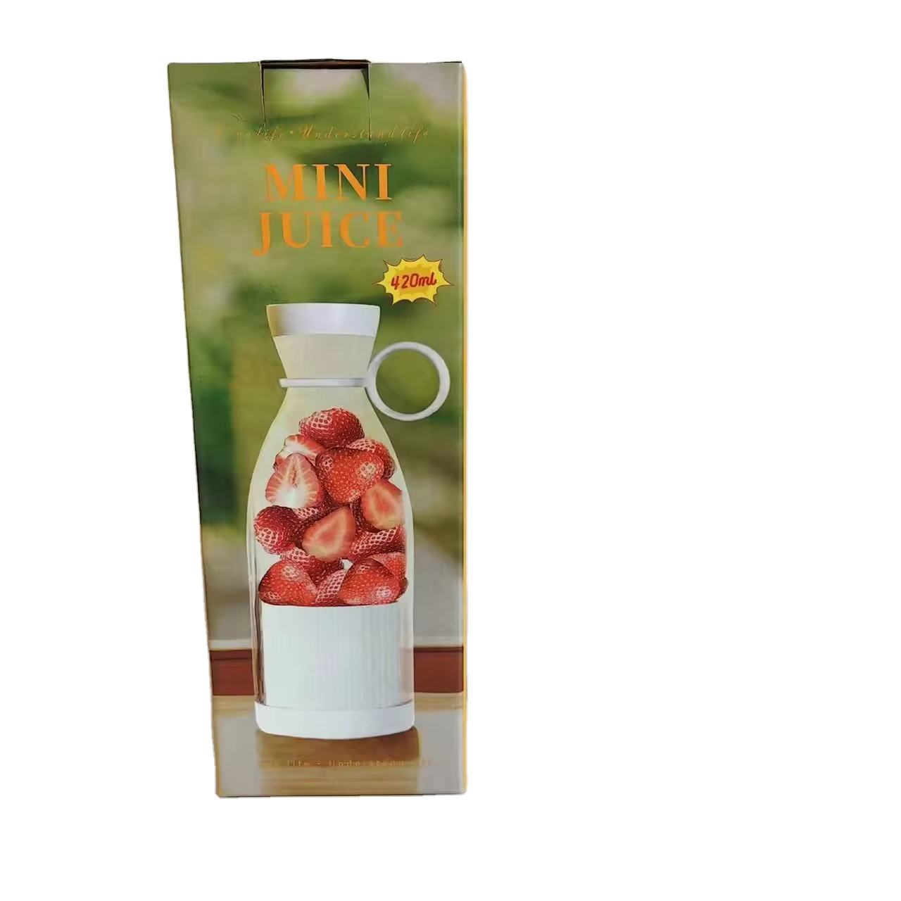 Mini Juicer