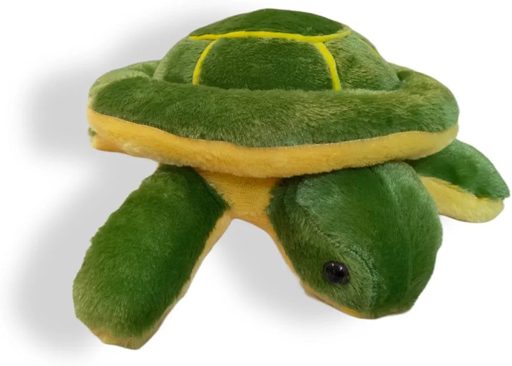 Soft Turtle
