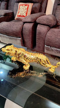 Golden Tiger