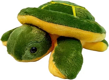 Soft Turtle