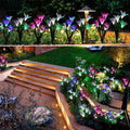 Solar Garden Flower Lights
