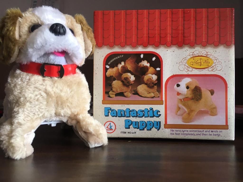 Funny Dog