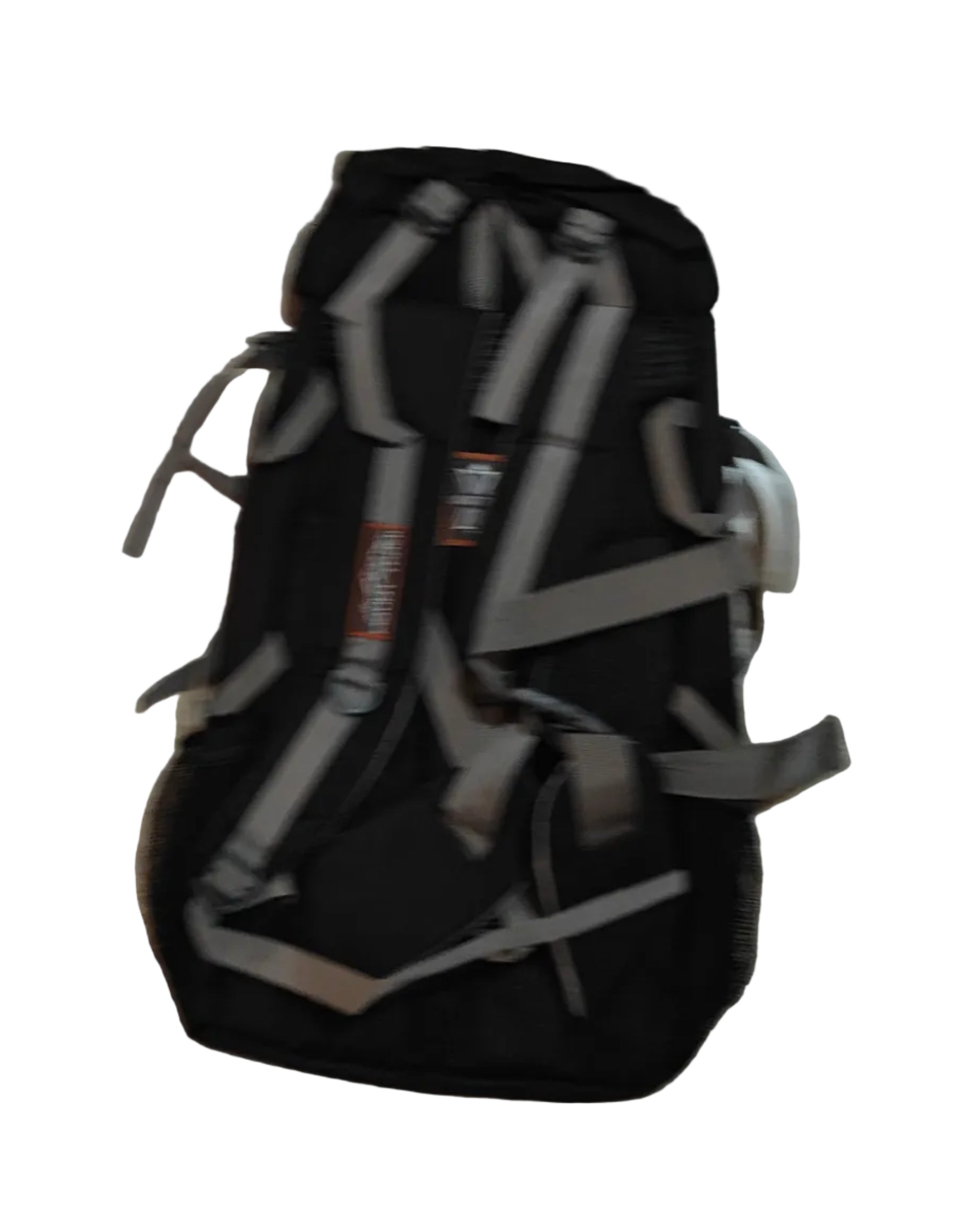Traveling Bag