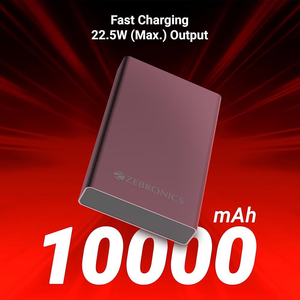 ZEBRONICS 10MR1