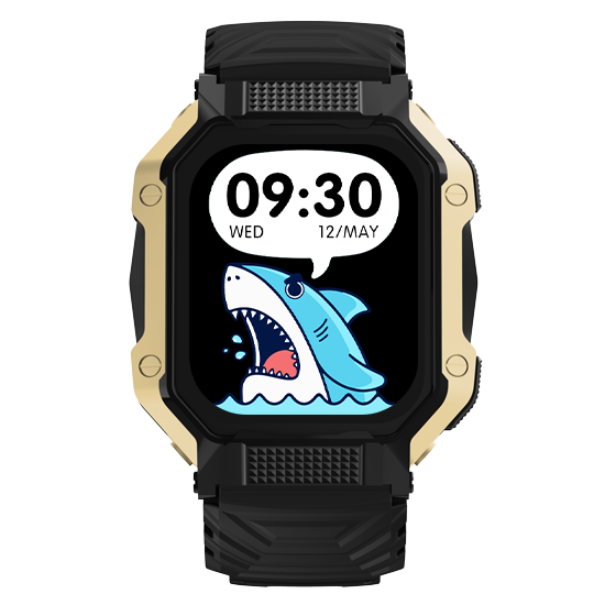 Fire-Boltt Shark