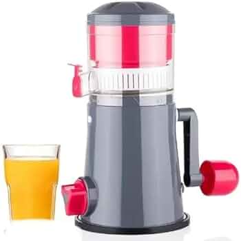 Fruit Juicer