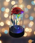 Rose Lighting