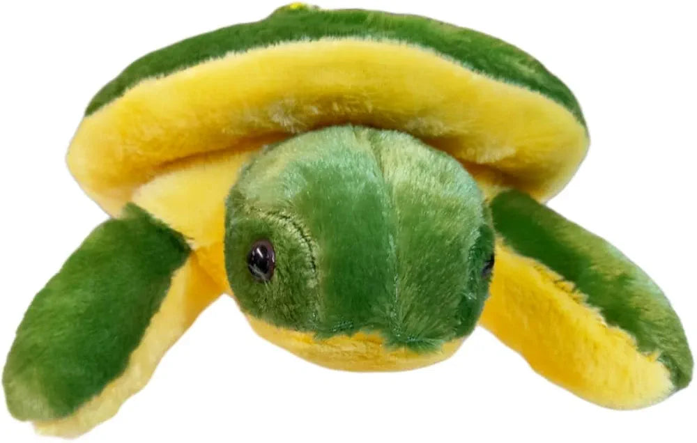 Soft Turtle