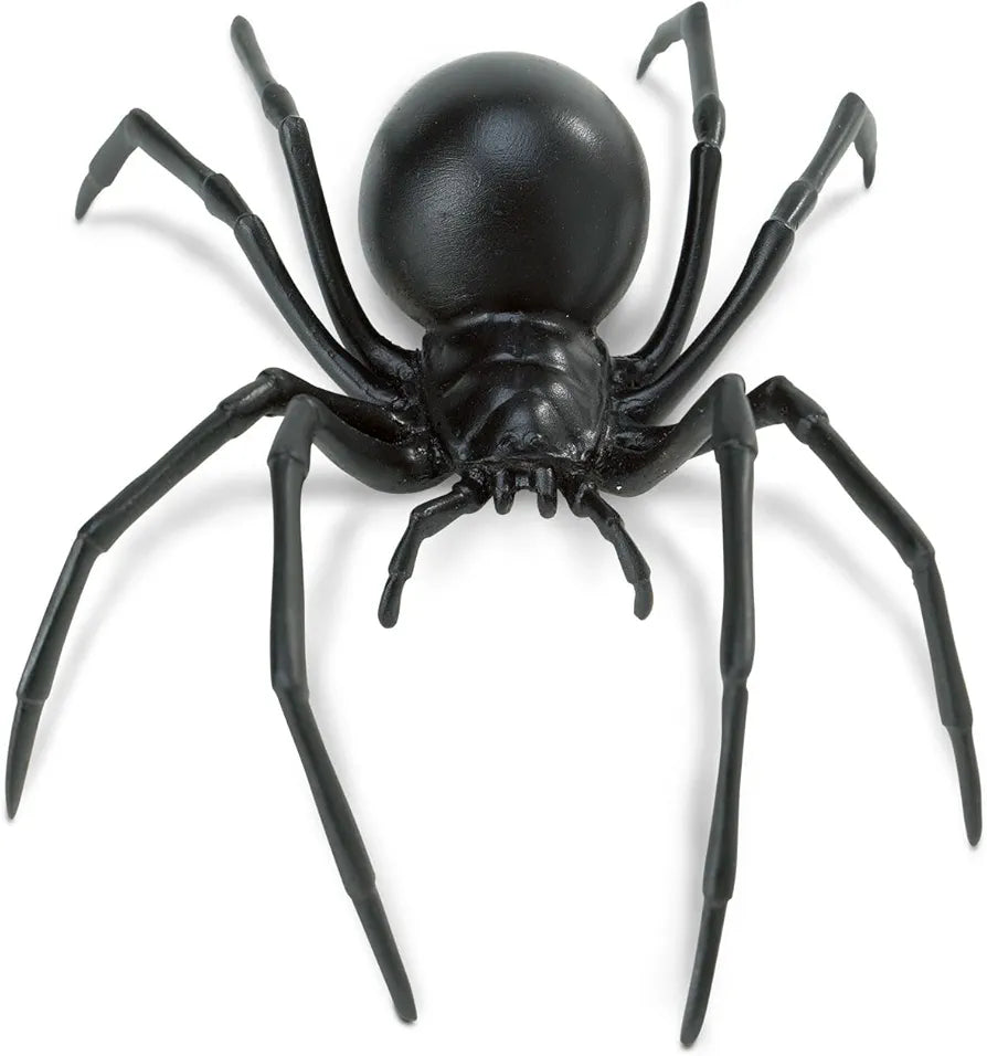 Safari Widow Spider(12 pcs)