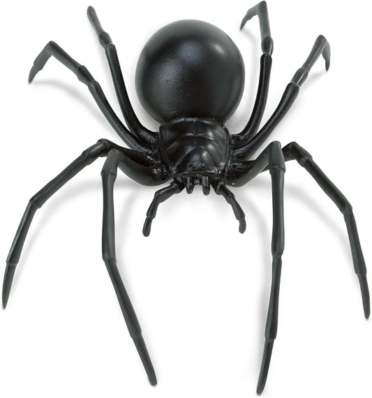Safari Widow Spider(12 pcs)