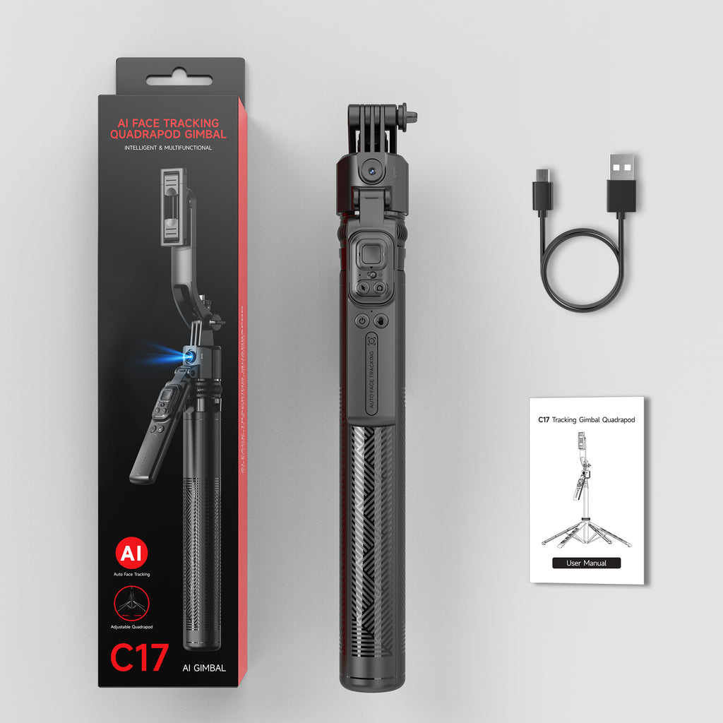 C17 AI