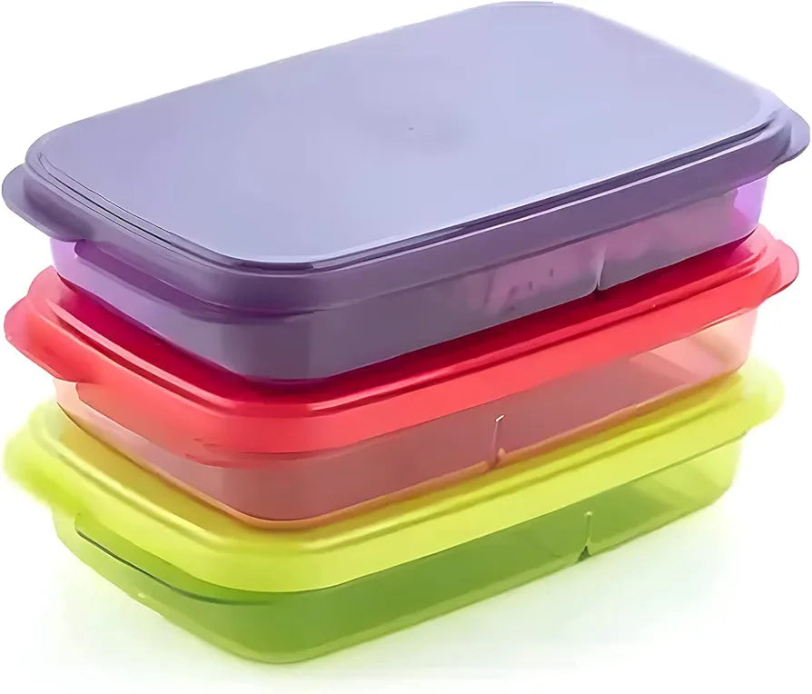 School Lunch Box