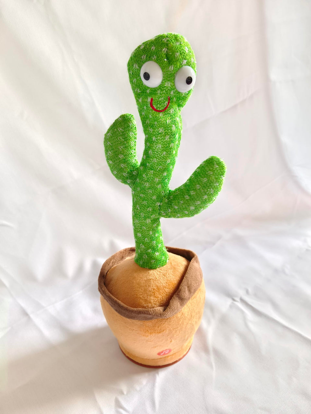 Talking Cactus