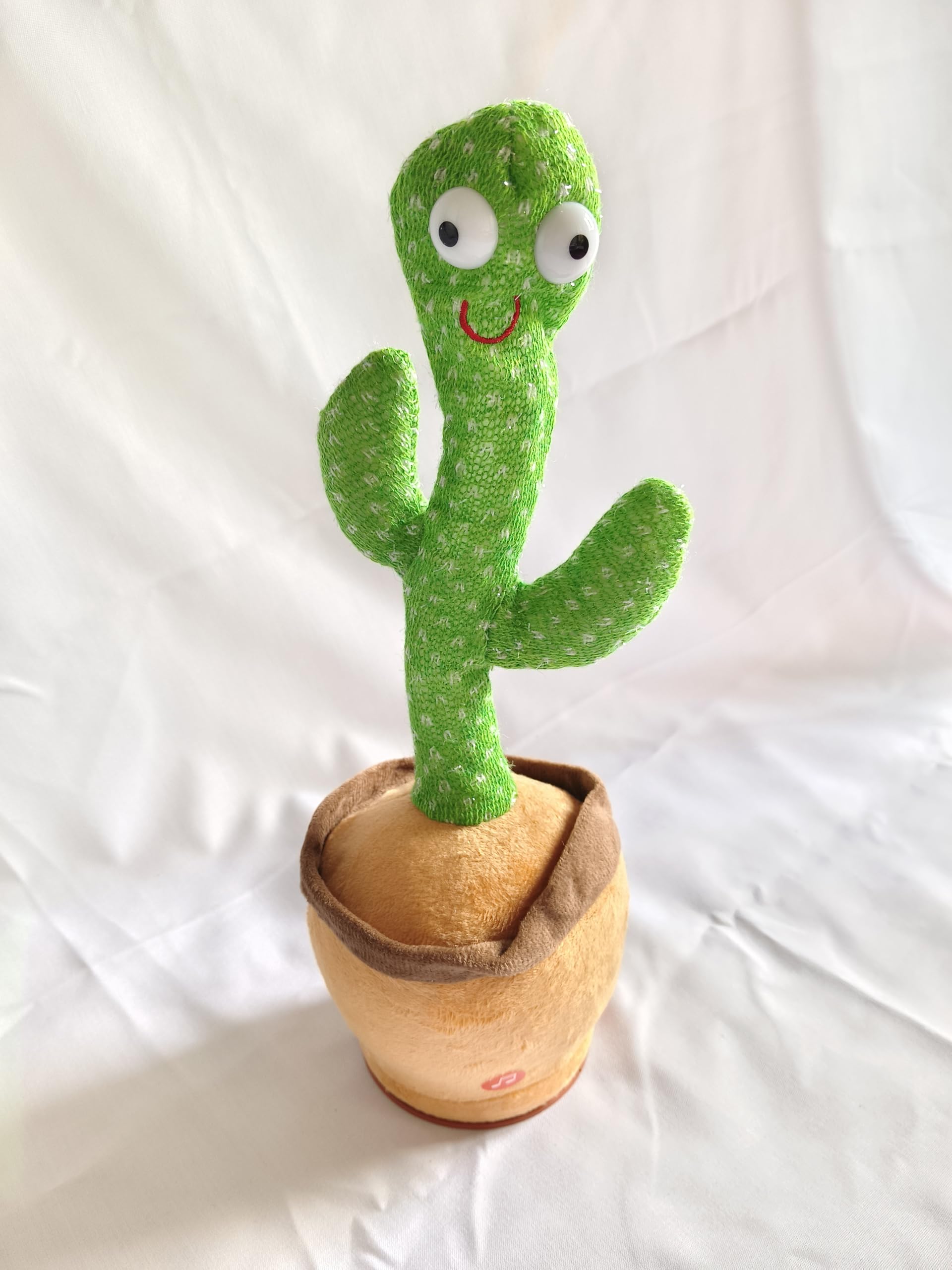 Talking Cactus