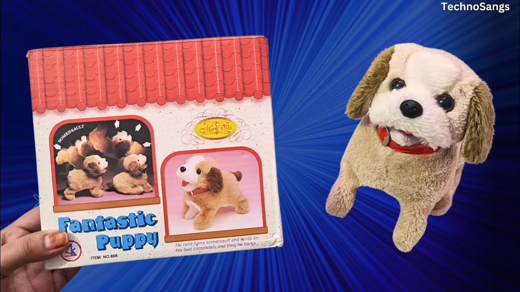 Funny Dog