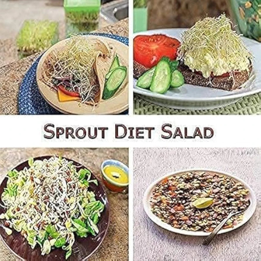 Sprouts Maker