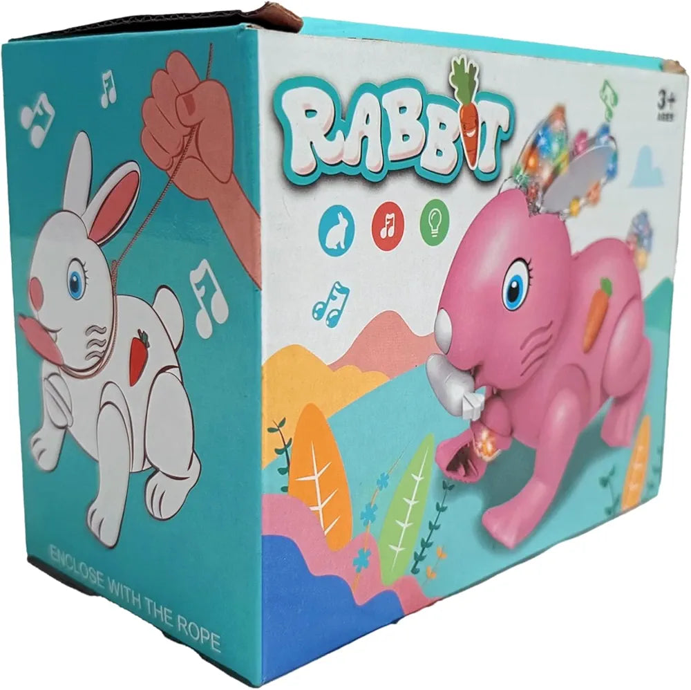 Rabbit