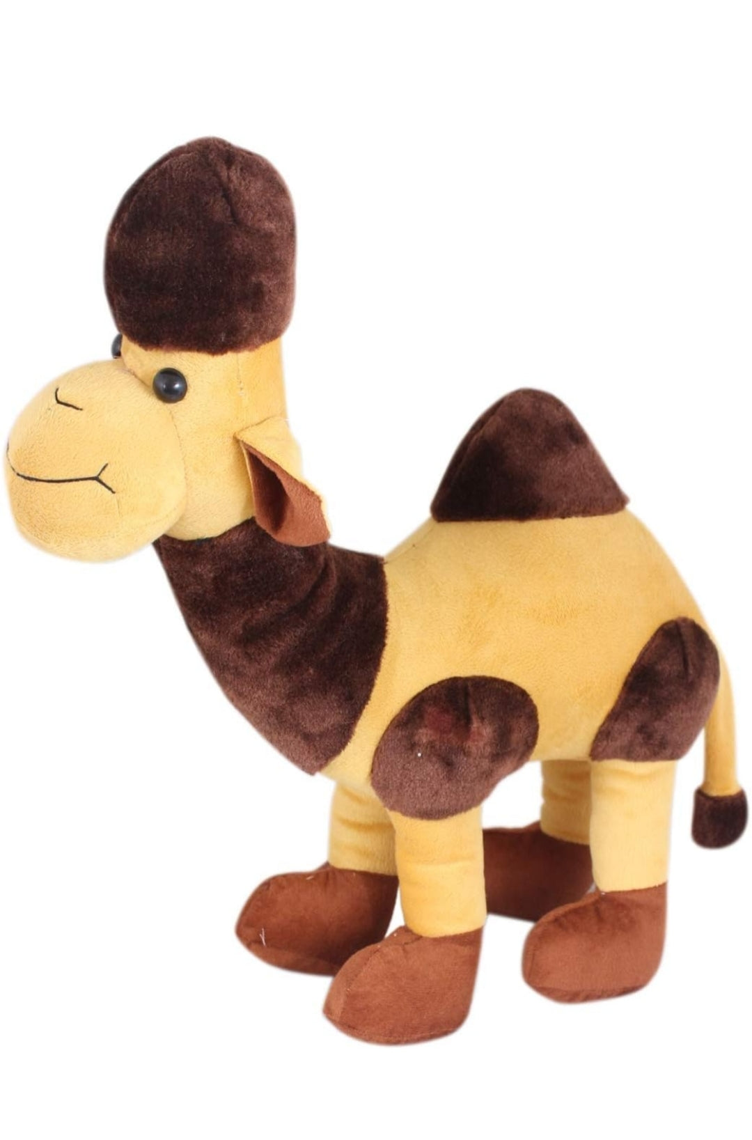 Camel Desert King