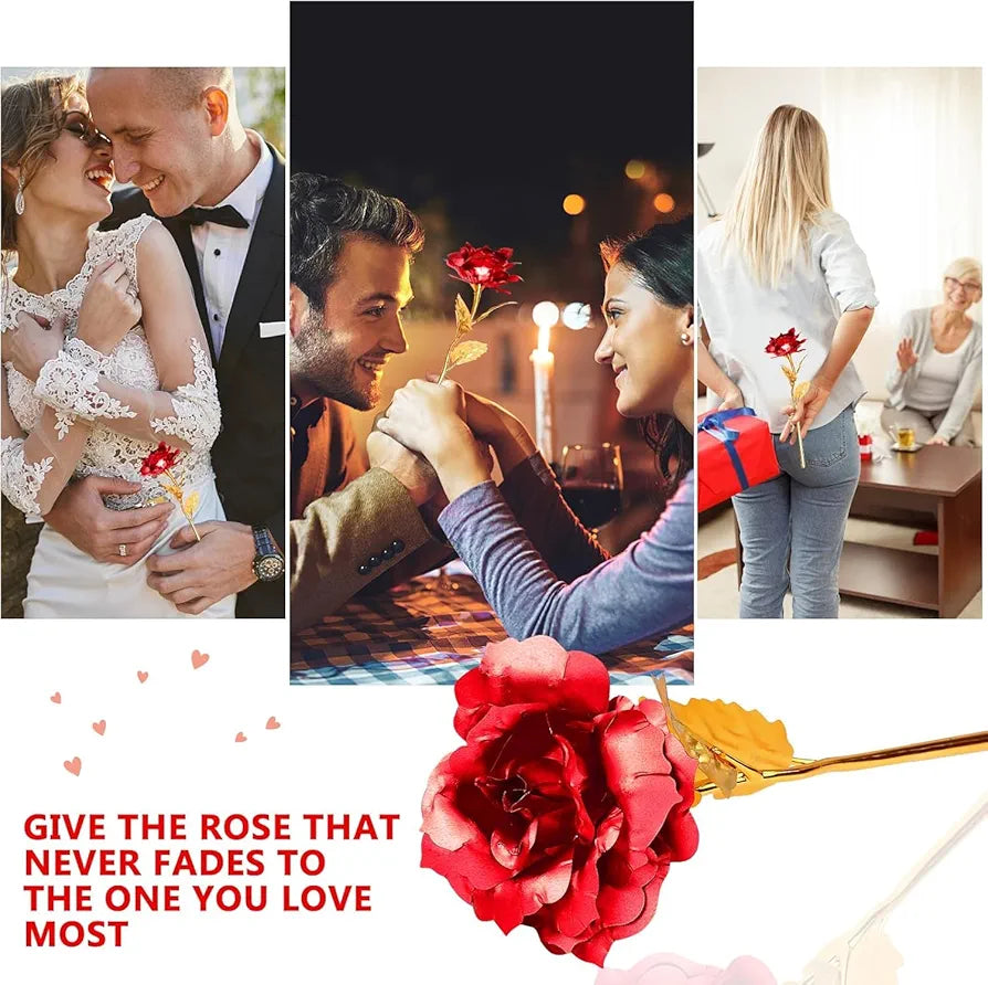 Red Golden Rose