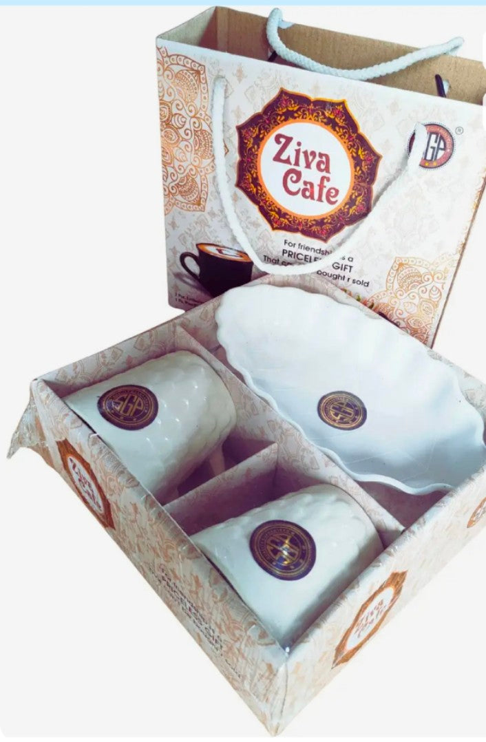 Ziva cafe 2+1