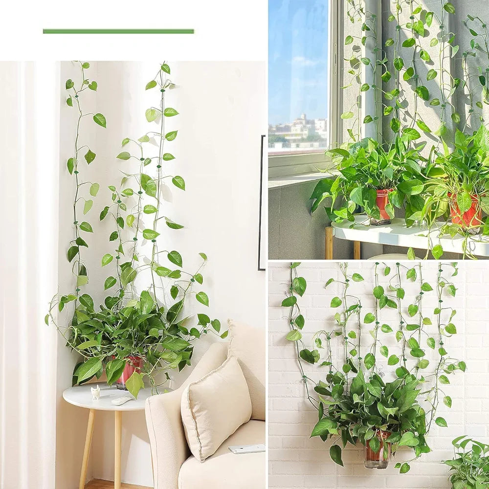 Plant Support Climbers