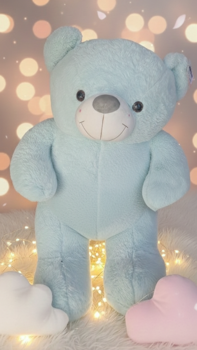Soft Teddy