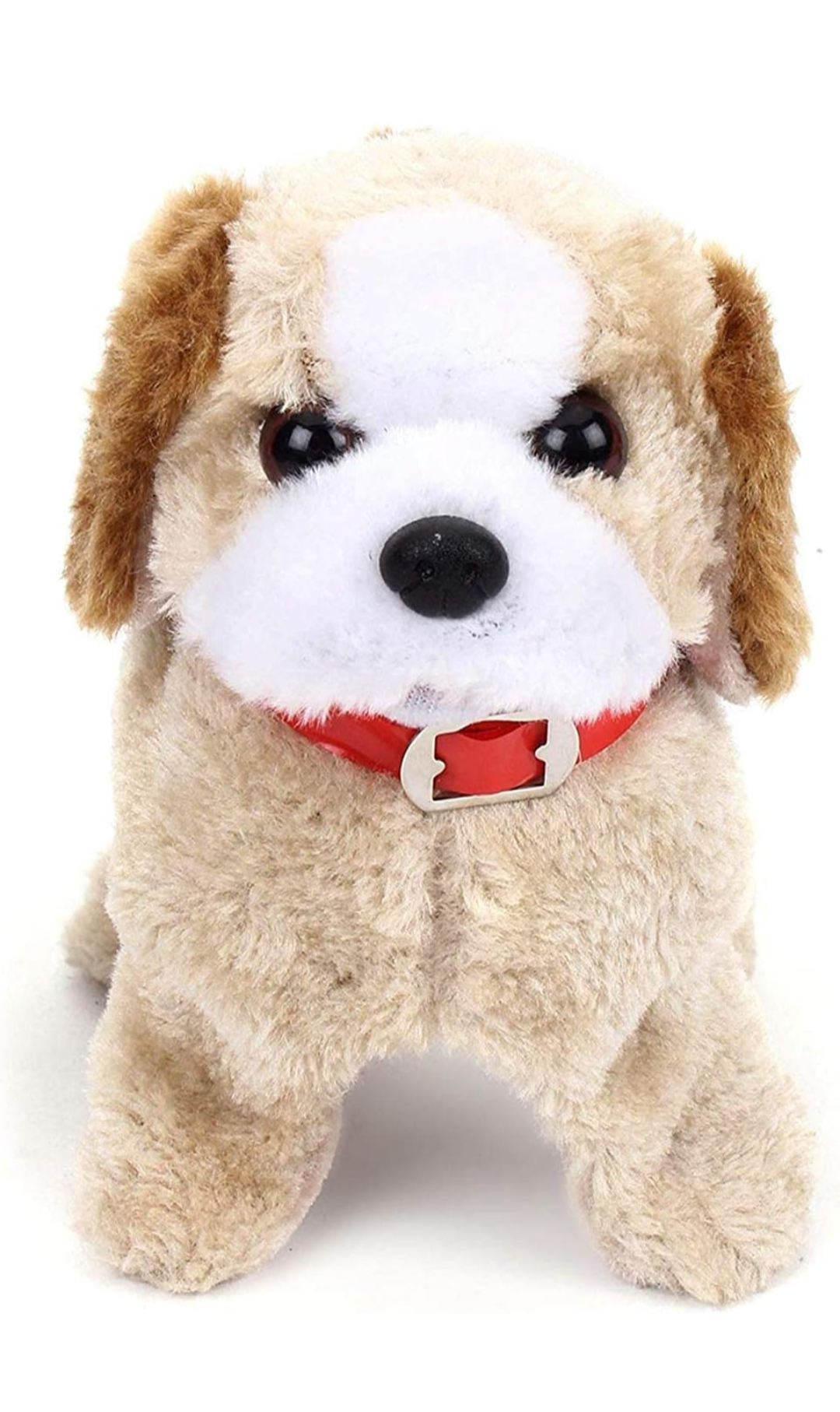 Funny Dog